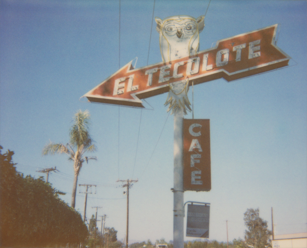 El Tecolote - Jena Ardell